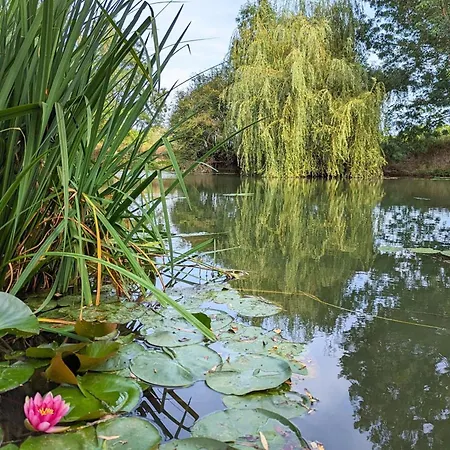 Au Bord De La Riviere Avec Jardin Et Wifi - Fr-1-653-162