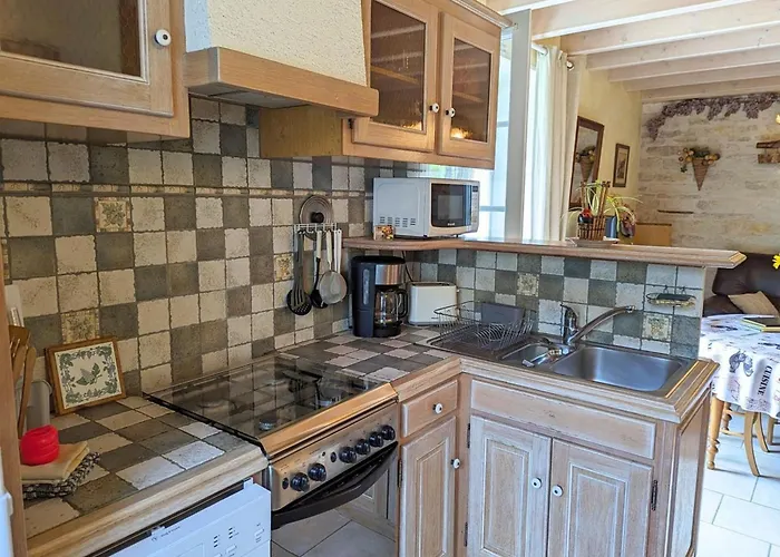 Au Bord De La Riviere Avec Jardin Et Wifi - Fr-1-653-162 *